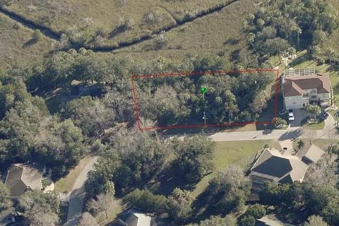 Terreno en venta en Homosassa, Florida № 681296 - foto 2