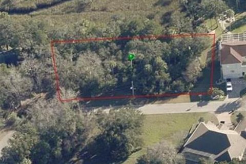 Terreno en venta en Homosassa, Florida № 681296 - foto 7