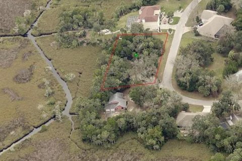 Terreno en venta en Homosassa, Florida № 681296 - foto 1