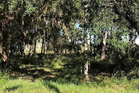 Terreno en venta en Homosassa, Florida № 681296 - foto 4