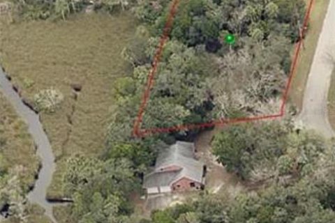 Terreno en venta en Homosassa, Florida № 681296 - foto 5