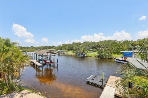 House in Riverview, Florida 4 bedrooms, 276.29 sq.m. № 1852517 - photo 5