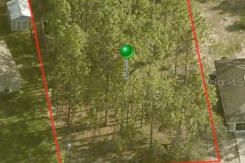 Land in Citrus Springs, Florida № 2163135