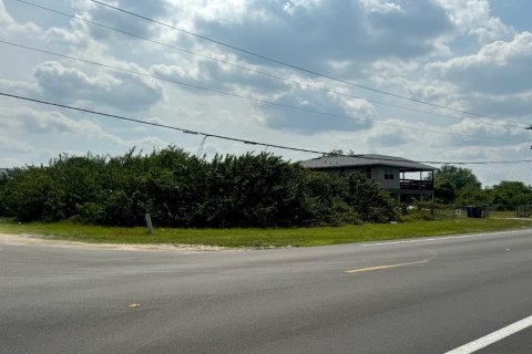 Land in Lehigh Acres, Florida № 2279934