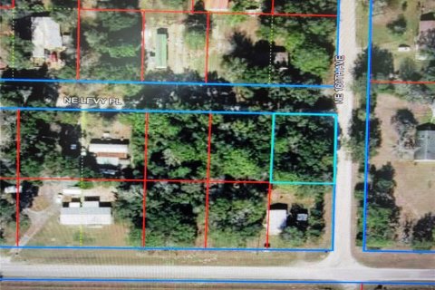 Land in Williston, Florida № 2166422 - photo 2