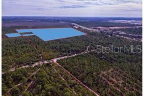 Land in Orlando, Florida № 213054 - photo 1