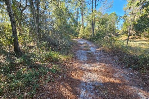 Land in Webster, Florida № 2160430 - photo 12