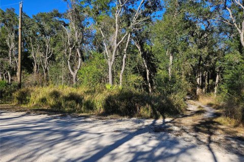 Land in Webster, Florida № 2160430