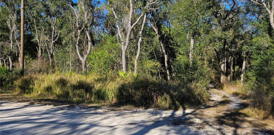 Land in Webster, Florida № 2160430
