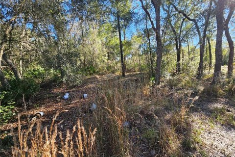 Land in Webster, Florida № 2160430 - photo 14