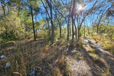 Land in Webster, Florida № 2160430 - photo 15