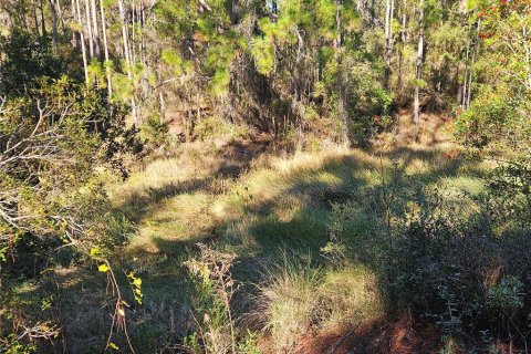Land in Webster, Florida № 2160430 - photo 8