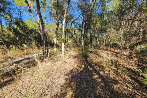 Land in Webster, Florida № 2160430 - photo 16