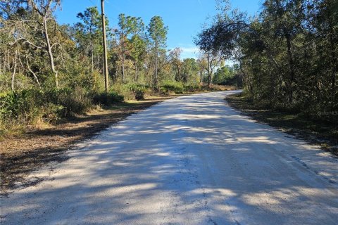 Land in Webster, Florida № 2160430 - photo 3