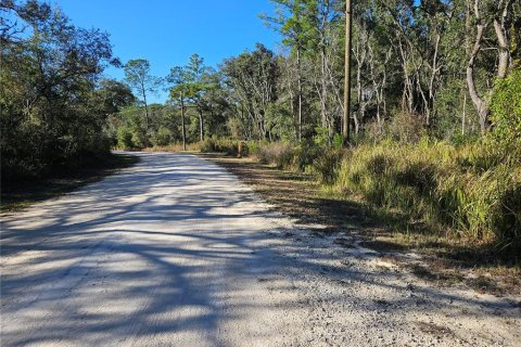 Land in Webster, Florida № 2160430 - photo 2