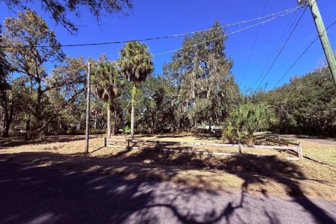 Land in Brandon, Florida № 2226517 - photo 4