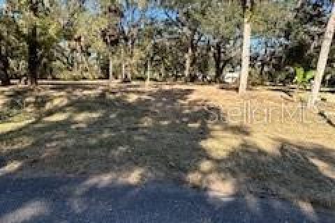 Land in Brandon, Florida № 2226517 - photo 2