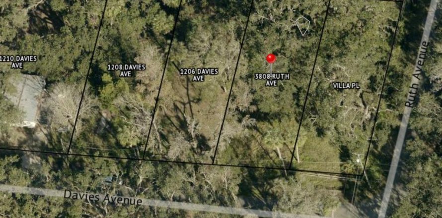 Land in Brandon, Florida № 2226517