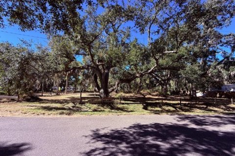 Land in Brandon, Florida № 2226517 - photo 3