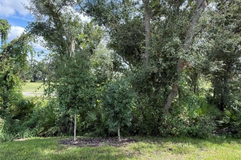 Villa ou maison à vendre à Sun City Center, Floride: 2 chambres, 130.9 m2 № 2145203 - photo 8