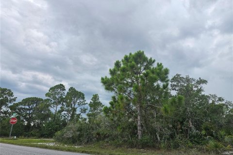 Land in Lake Placid, Florida № 2207700 - photo 3