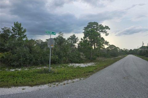 Land in Lake Placid, Florida № 2207700 - photo 6
