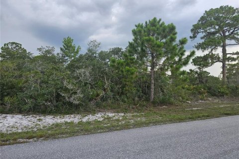 Land in Lake Placid, Florida № 2207700 - photo 5