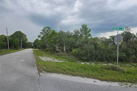 Land in Lake Placid, Florida № 2207700 - photo 2