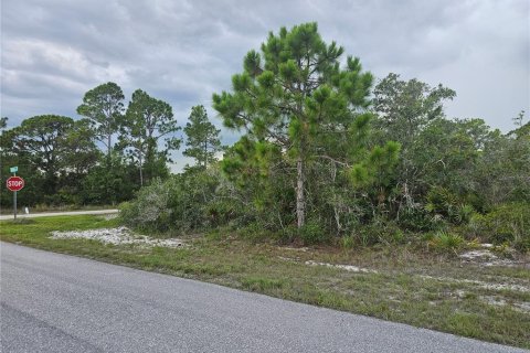 Land in Lake Placid, Florida № 2207700 - photo 4