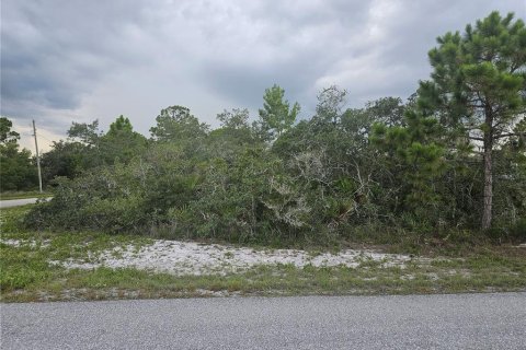 Land in Lake Placid, Florida № 2207700