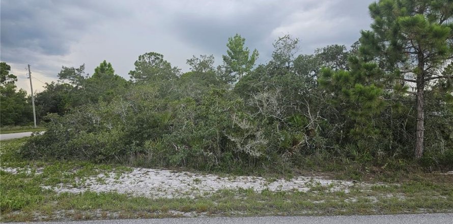 Land in Lake Placid, Florida № 2207700