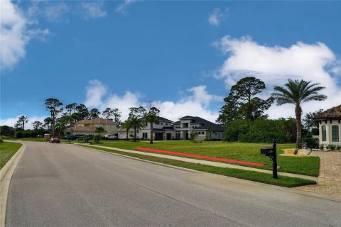 Land in Palm Coast, Florida № 1564748 - photo 11