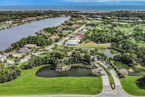 Land in Palm Coast, Florida № 1564748 - photo 7
