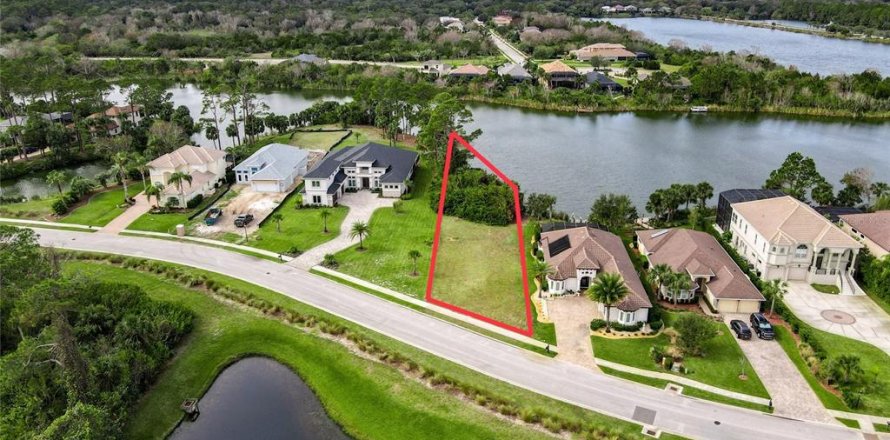 Land in Palm Coast, Florida № 1564748