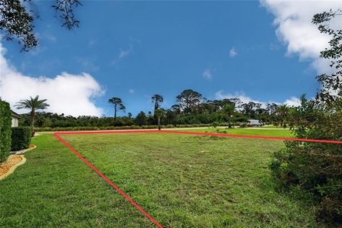 Land in Palm Coast, Florida № 1564748 - photo 8