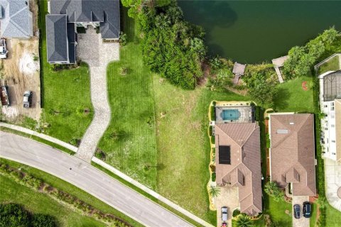 Land in Palm Coast, Florida № 1564748 - photo 5
