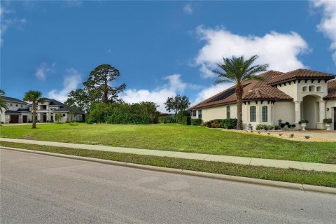 Land in Palm Coast, Florida № 1564748 - photo 13