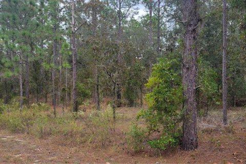 Land in Dunnellon, Florida № 2202322 - photo 4