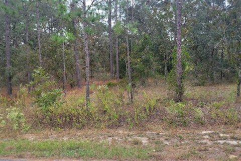 Land in Dunnellon, Florida № 2202322 - photo 3