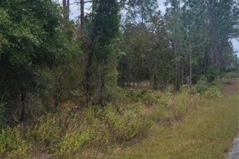 Land in Dunnellon, Florida № 2202322 - photo 2