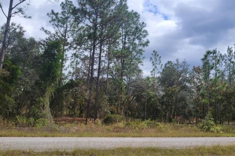 Land in Dunnellon, Florida № 2202322
