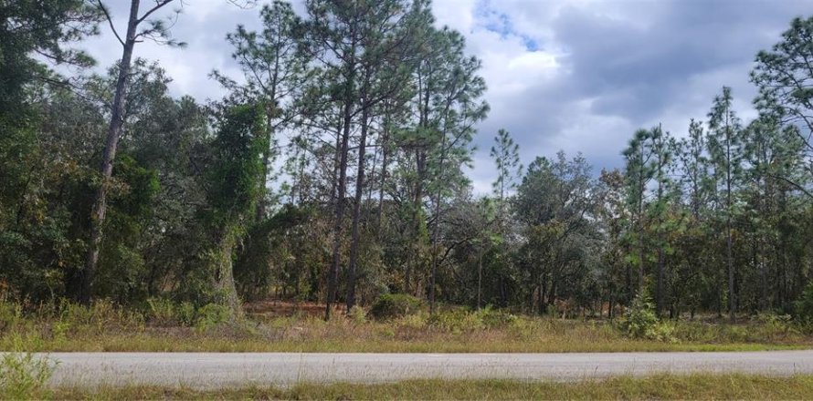 Land in Dunnellon, Florida № 2202322