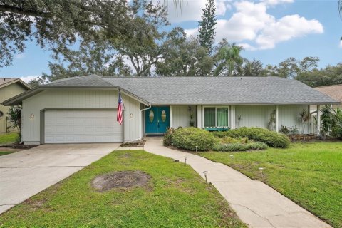 Casa en Palm Harbor, Florida 3 dormitorios, 171.4 m2 № 2386673