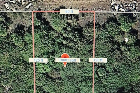 Land in LaBelle, Florida № 2195255 - photo 2