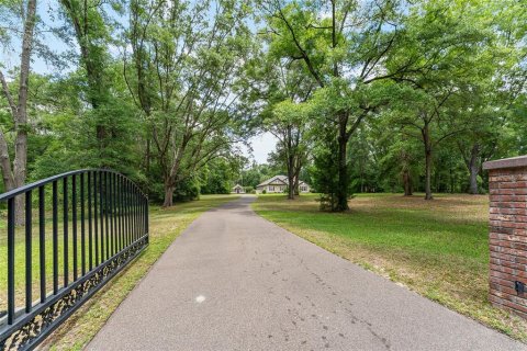 Villa ou maison à vendre à Alachua, Floride: 4 chambres, 297.19 m2 № 1673323 - photo 5