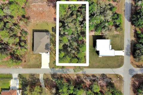 Land in Lehigh Acres, Florida № 2164293 - photo 2