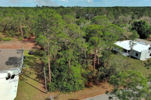 Land in Lehigh Acres, Florida № 2164293 - photo 3