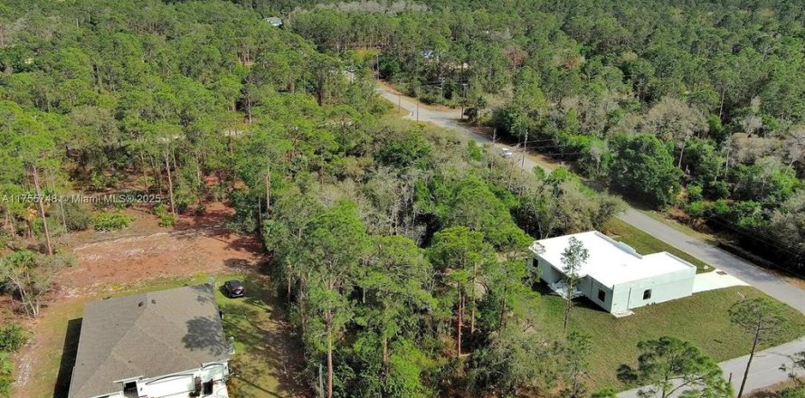 Land in Lehigh Acres, Florida № 2164293
