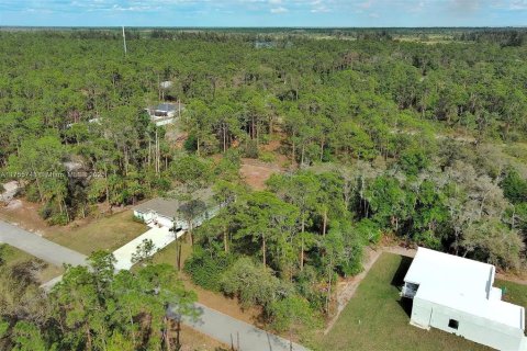 Land in Lehigh Acres, Florida № 2164293 - photo 8