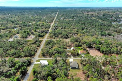 Land in Lehigh Acres, Florida № 2164293 - photo 19